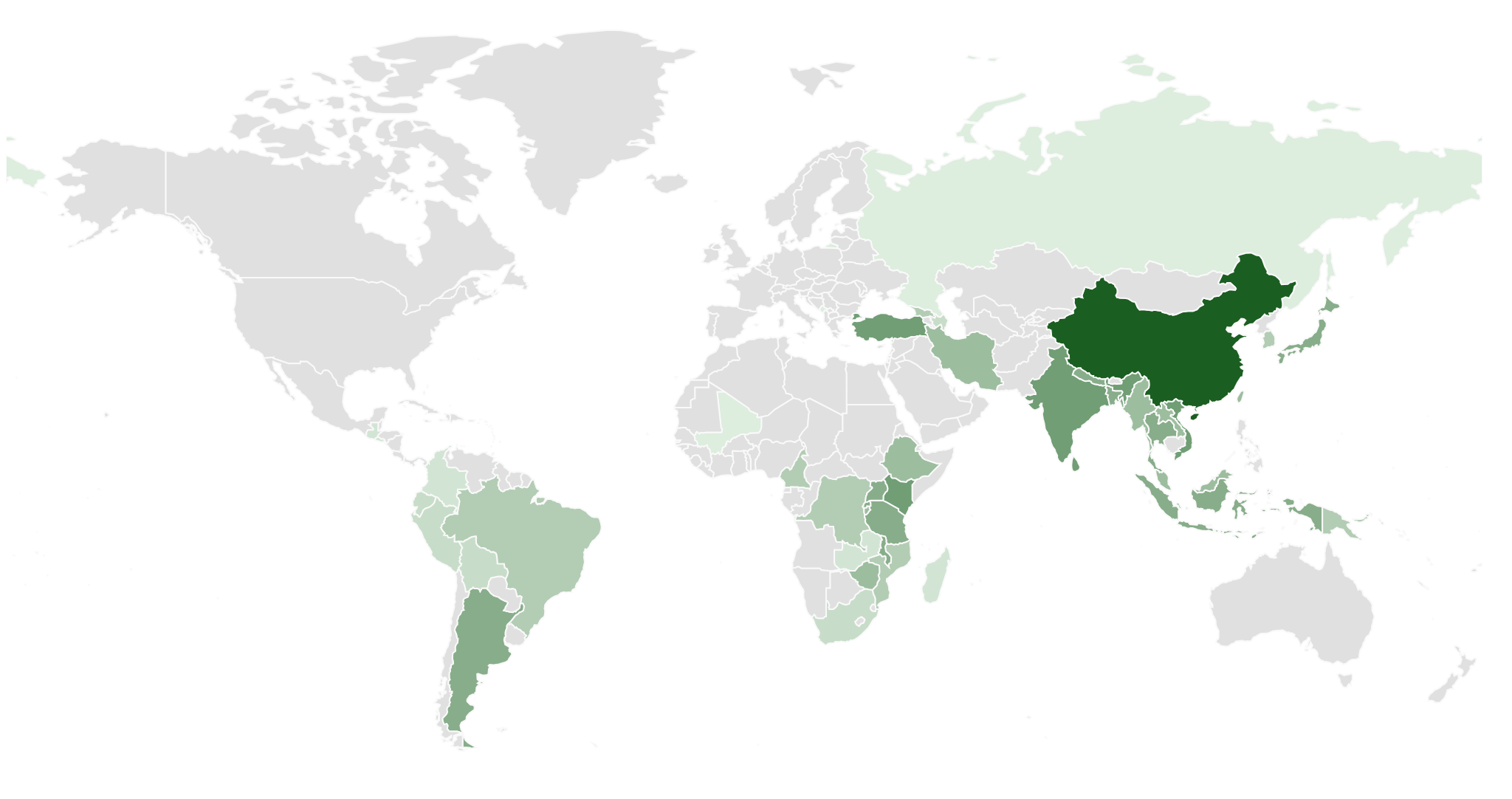 Theeproductie in China en de wereld