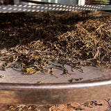 Gu shu Shu Pu-erh Big Leaf 