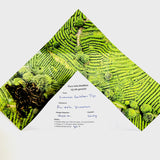 De DrinkBlad proefcollectie