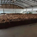 Gu shu Shu Pu-erh Big Leaf