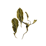 Huoshan Huang Da Cha