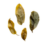 Gu shu Shu Pu-erh Big Leaf 