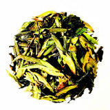 Ancient Tree Wild Forest white tea pure bud 